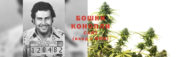 сатива Алексин