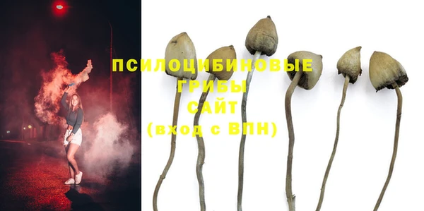 сатива Алексин