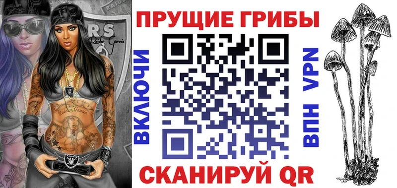 Псилоцибиновые грибы Psilocybe Серов